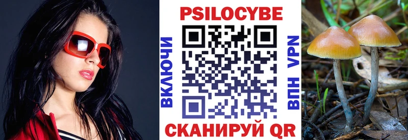 цены наркотик  MEGA tor  Псилоцибиновые грибы Cubensis  Омутнинск 